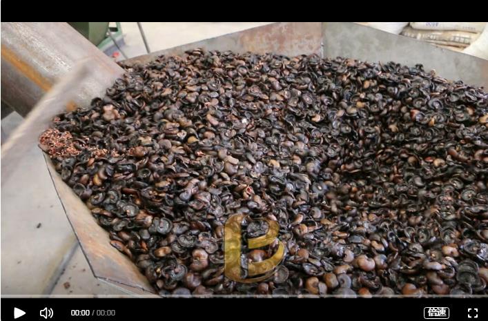 環保91视频大全黄色炭化處理腰果外殼增加經濟效益